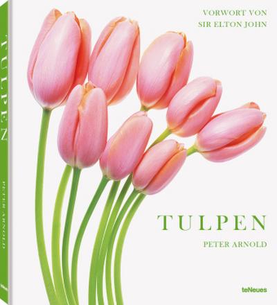 Arnold, Tulpen