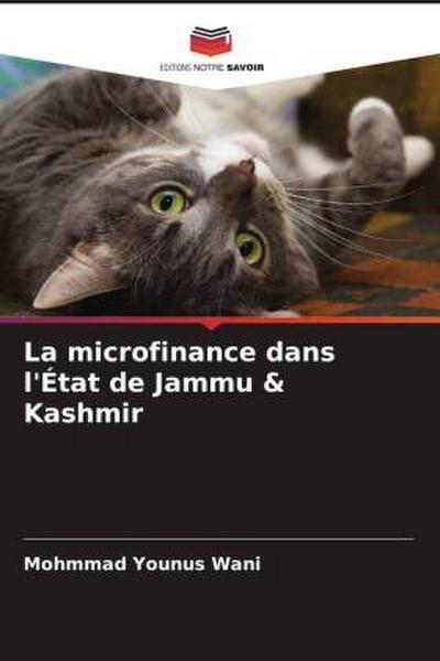 La microfinance dans l’État de Jammu & Kashmir