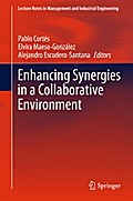 Enhancing Synergies in a Collaborative Environment