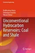Unconventional Hydrocarbon Reservoirs: Coal and Sh