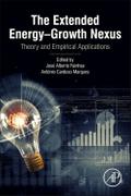 The Extended Energy-Growth Nexus