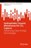 Hydrophobic Ceramic Membranes for CO2 Capture