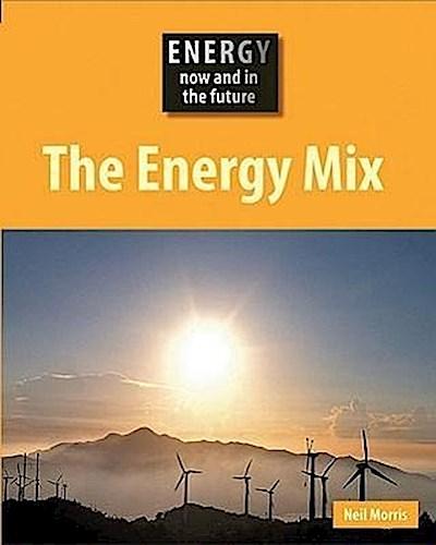 The Energy Mix