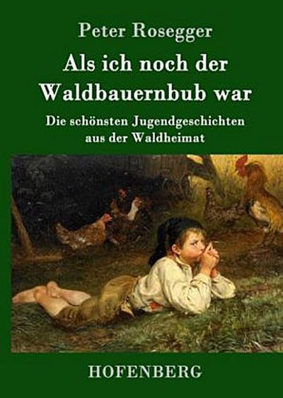 Als ich noch der Waldbauernbub war