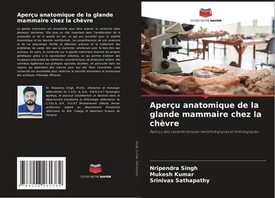 Aperçu anatomique de la glande mammaire chez la chèvre