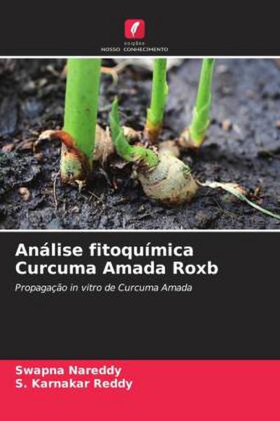 Análise fitoquímica Curcuma Amada Roxb