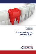 Forces acting on restorations