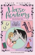 Horse Academy – Schicksalhafte Begegnung
