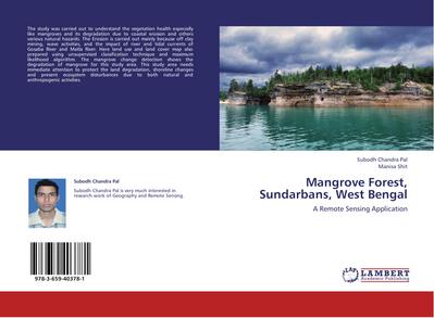 Mangrove Forest, Sundarbans, West Bengal