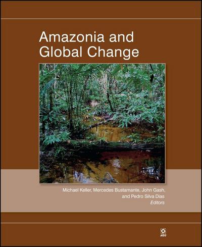Amazonia and Global Change