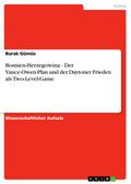 Bosnien-Herzegowina - Der Vance-Owen-Plan und der 