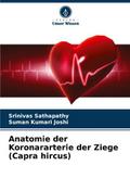 Anatomie der Koronararterie der Ziege (Capra hircu