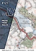 New Welsh Reader 121