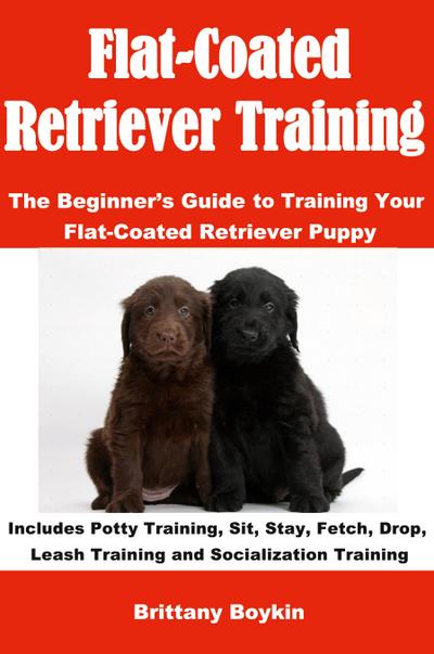 Flat-Coated Retriever Training