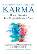 The Beginner’s Guide to Karma