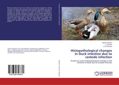 Histopathological changes in Duck intestine due to cestode infection