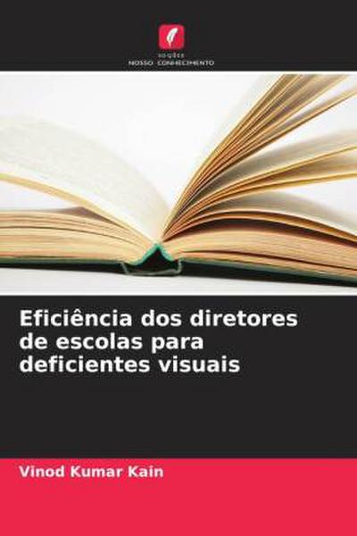 Eficiência dos diretores de escolas para deficientes visuais