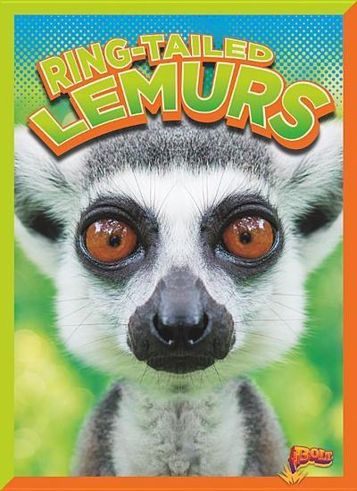 Ring-Tailed Lemurs