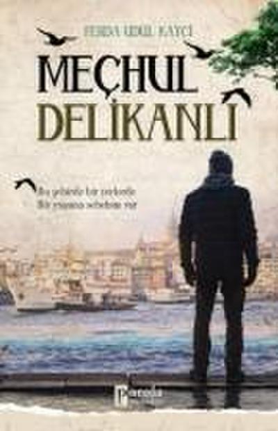 Mechul Delikanli