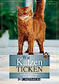 Wie Katzen ticken