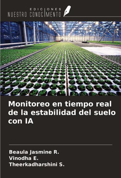 Monitoreo en tiempo real de la estabilidad del suelo con IA