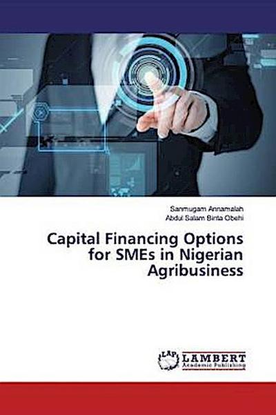 Capital Financing Options for SMEs in Nigerian Agribusiness