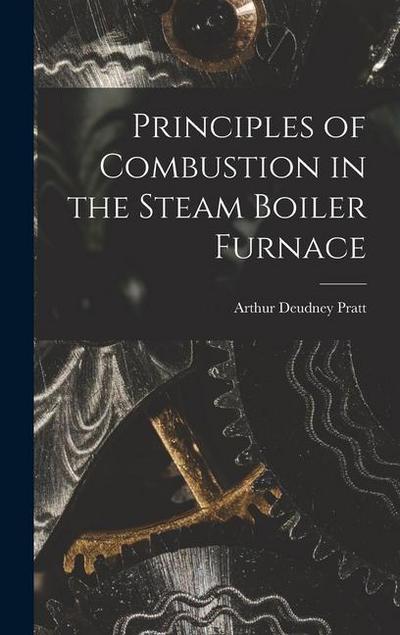 Principles of Combustion in the Steam Boiler Furnace