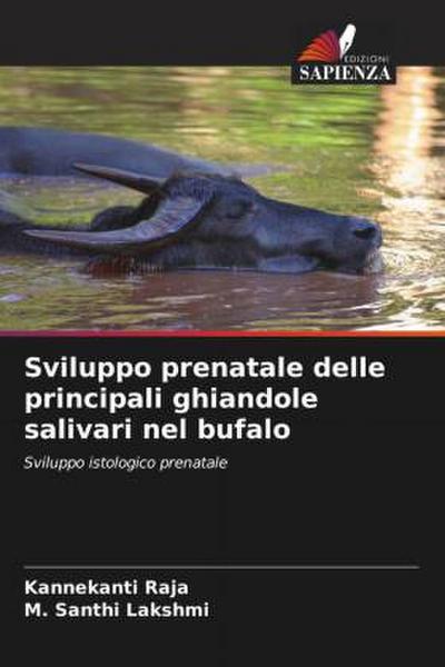 Sviluppo prenatale delle principali ghiandole salivari nel bufalo