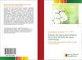 Estudo da liga quasicristalina al-cu-fe-b através da nano indentação
