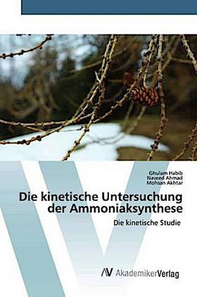 Die kinetische Untersuchung der Ammoniaksynthese