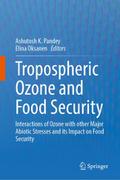 Tropospheric Ozone and Food Security