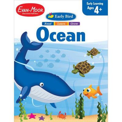 Early Bird Ocean