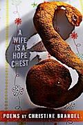 A Wife Is a Hope Chest: Poems (The Mineral Point Poetry Series, #5)