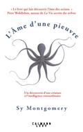 L’Âme d’une pieuvre
