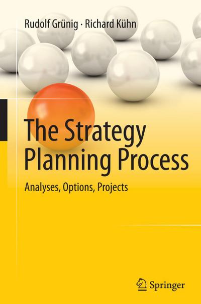 The Strategy Planning Process