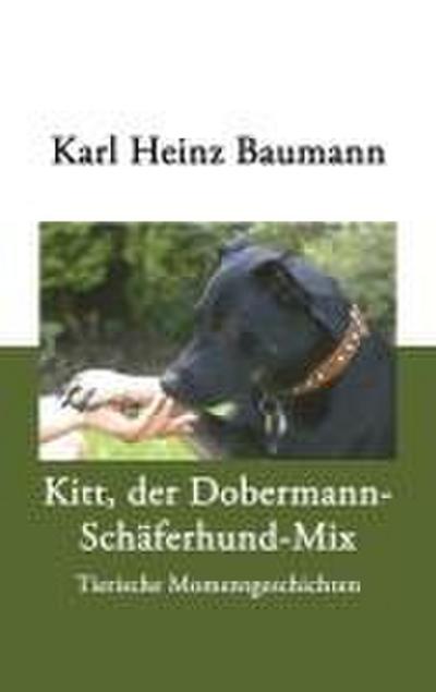 Kitt, der Dobermann-Schäferhund-Mix