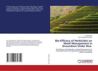 Bio-Efficacy of Herbicides on Weed Management in Groundnut Under Rice