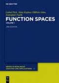 Function Spaces, Volume 1: Banach Function Spaces (de Gruyter Series In Nonlinear Analysis And Applications): 14 (De Gruyter Series in Nonlinear Analysis & Applications, 14/1)