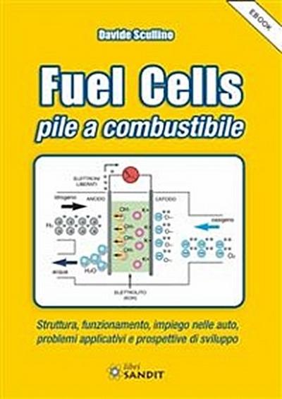 Fuel Cells pile a combustibile