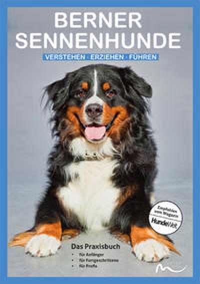 Berner Sennenhunde