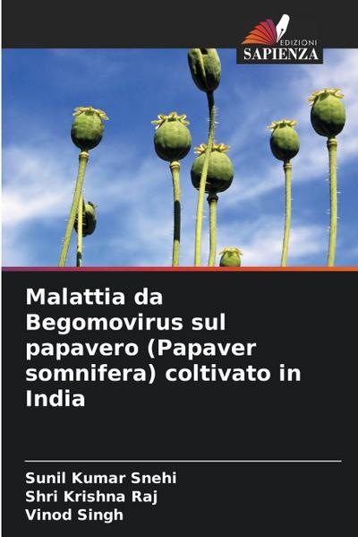 Malattia da Begomovirus sul papavero (Papaver somnifera) coltivato in India