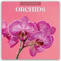 Orchids - Orchideen 2026 - 16-Monatskalender
