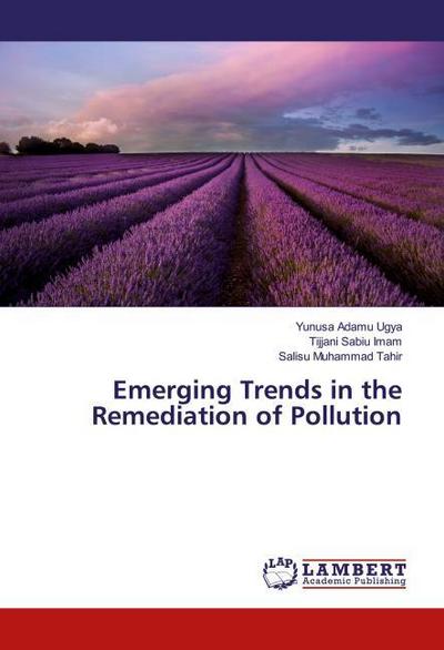 Emerging Trends in the Remediation of Pollution