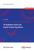 1D Radiative Fluid and Liquid Crystal Equations