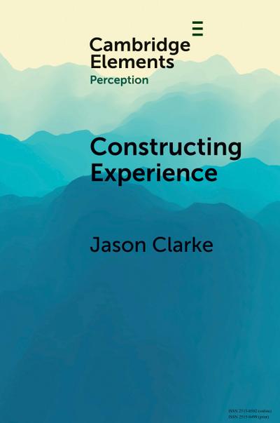 Constructing Experience
