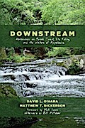 Downstream