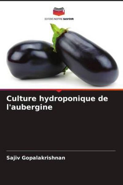Culture hydroponique de l’aubergine