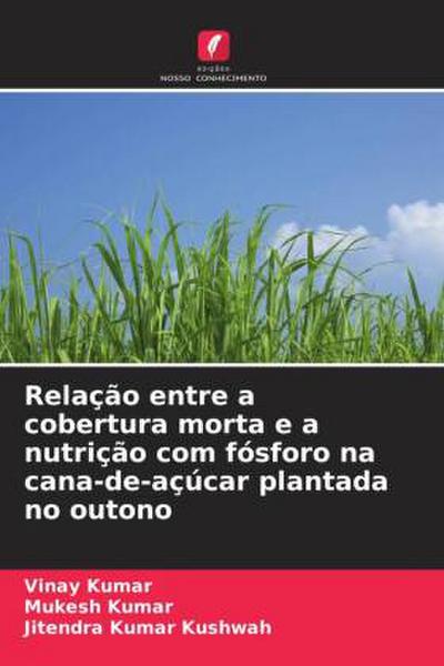 Relação entre a cobertura morta e a nutrição com fósforo na cana-de-açúcar plantada no outono