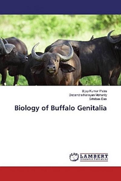 Biology of Buffalo Genitalia