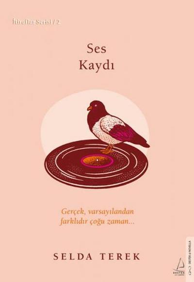 Ses Kaydi